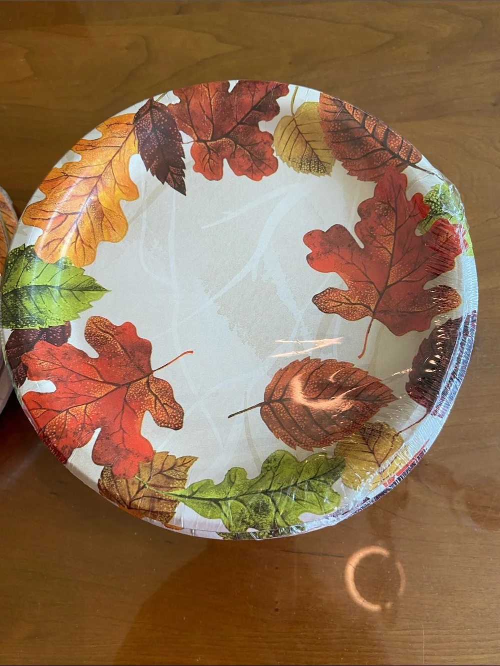 Autumn Leaf Disposable Paper Plates - Fall Harvest Design (Unbranded)